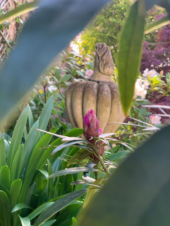 Bed and Breakfast Cote Jardin Sainte-Suzanne  Екстер'єр фото