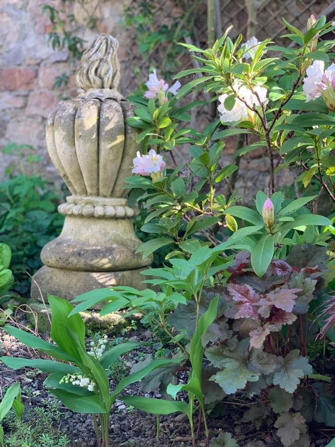 Bed and Breakfast Cote Jardin Sainte-Suzanne  Екстер'єр фото